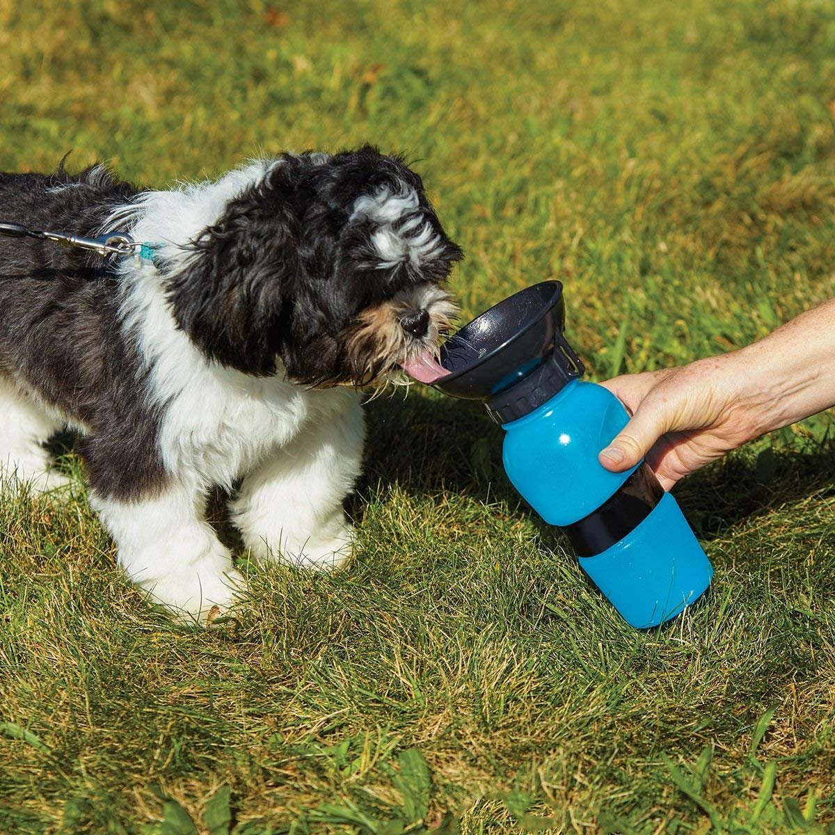 Bidon de apa pentru caini, Aqua Dog