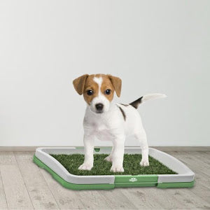 Toaleta cu iarba artificiala pentru animale, Puppy Potty Pad